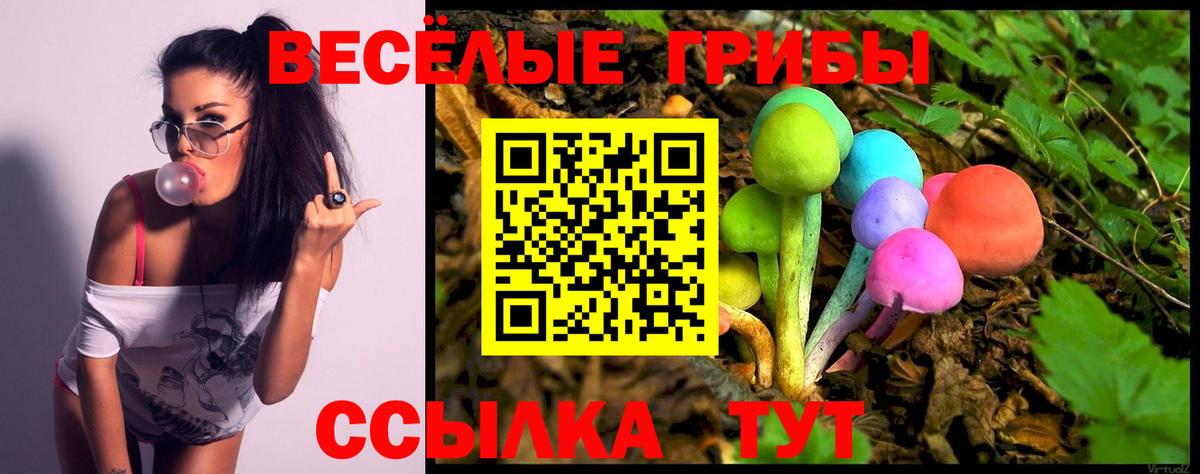 Сорочинск  Псилоцибиновые грибы Magic Shrooms  Вход с VPN 